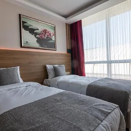 Rush Hotel 3*